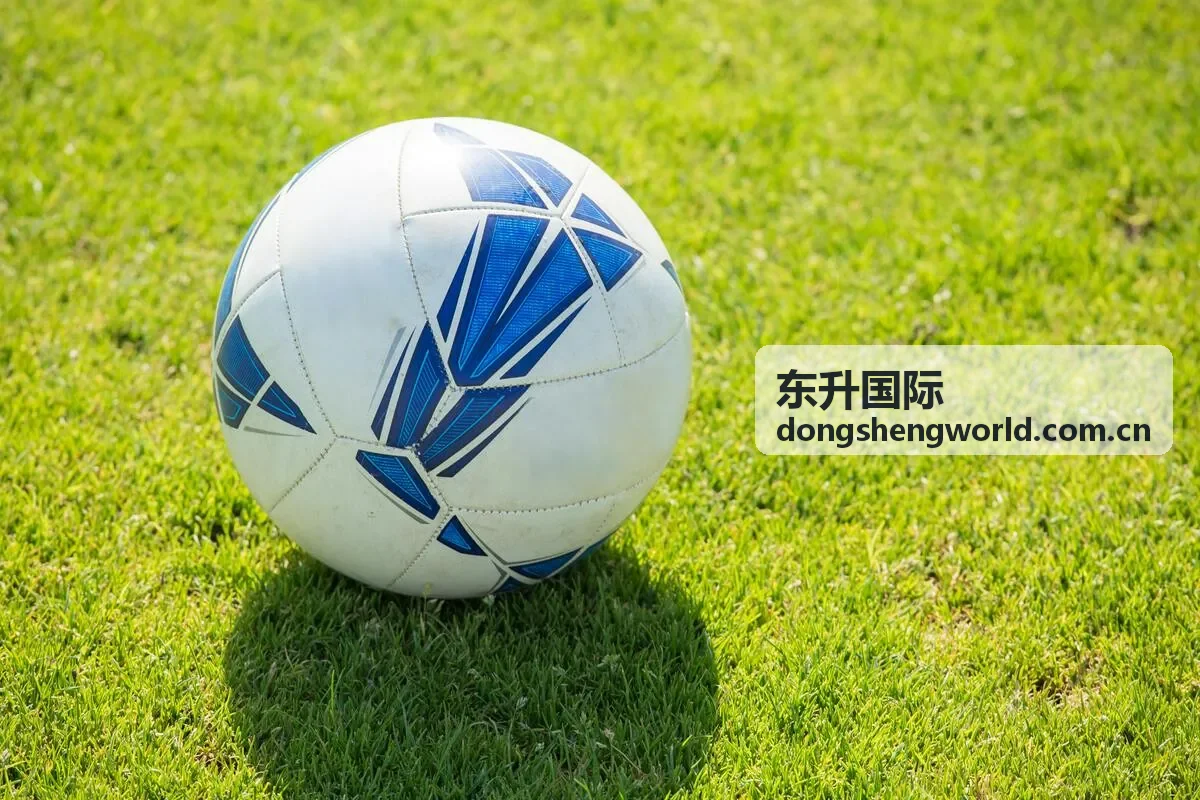 东升国际进出口清关与合规
